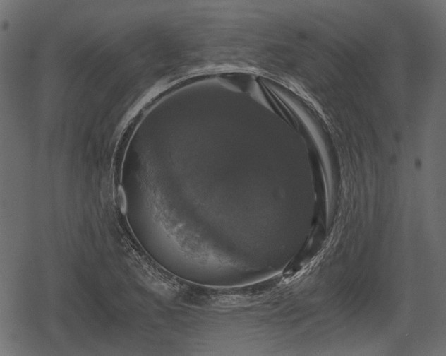 X0000068811173200605121243