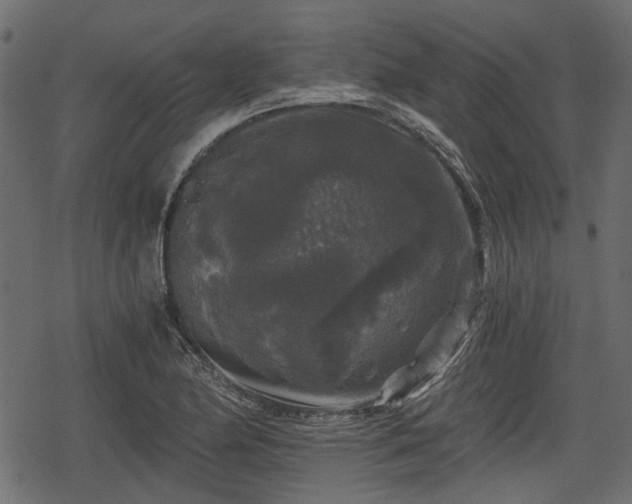 X0000068811174200605121243