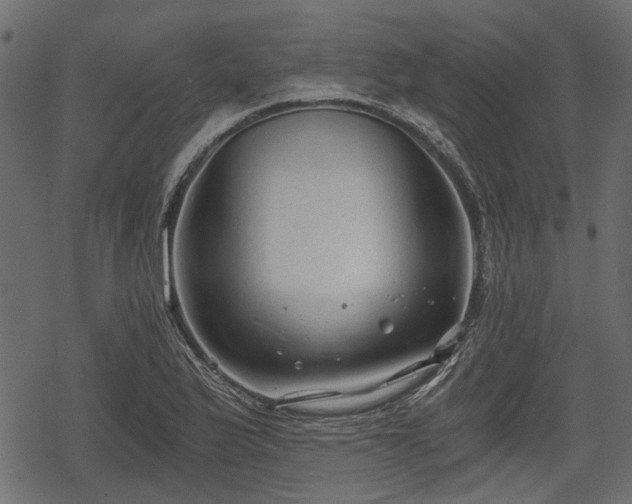 X0000068811175200605121243