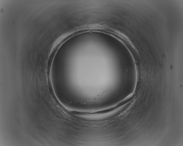 X0000068811176200605121243