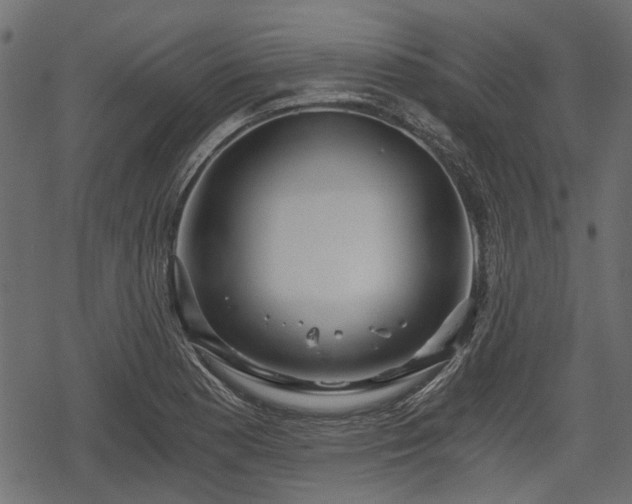 X0000068811177200605121243