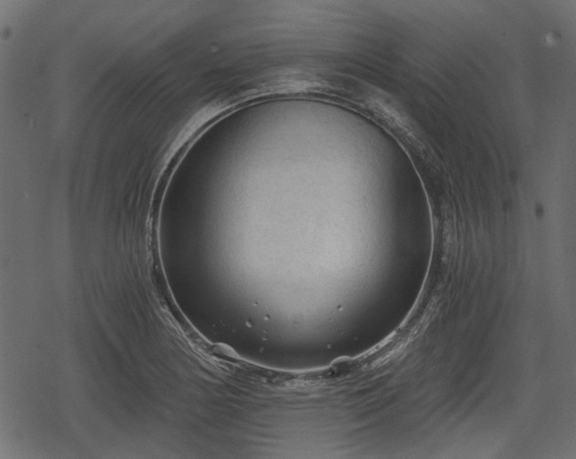 X0000068811178200605121243