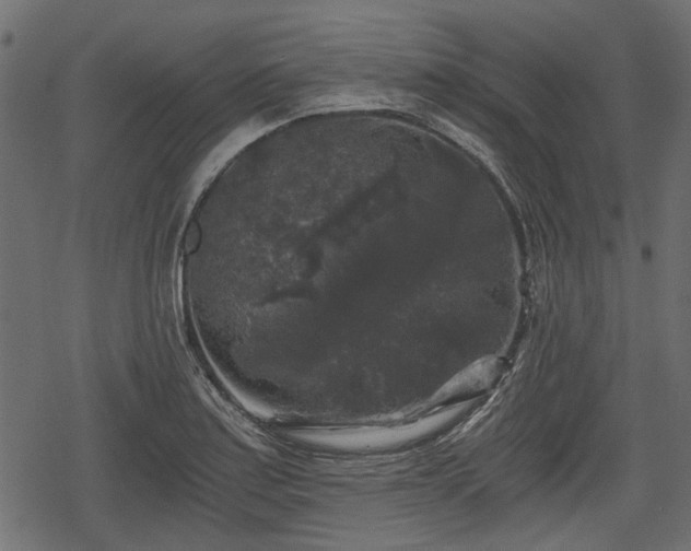 X0000068811179200605121243