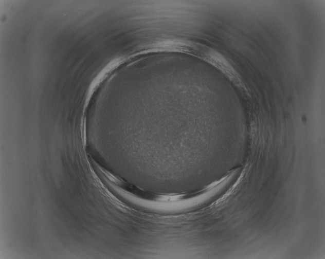 X0000068811180200605121243