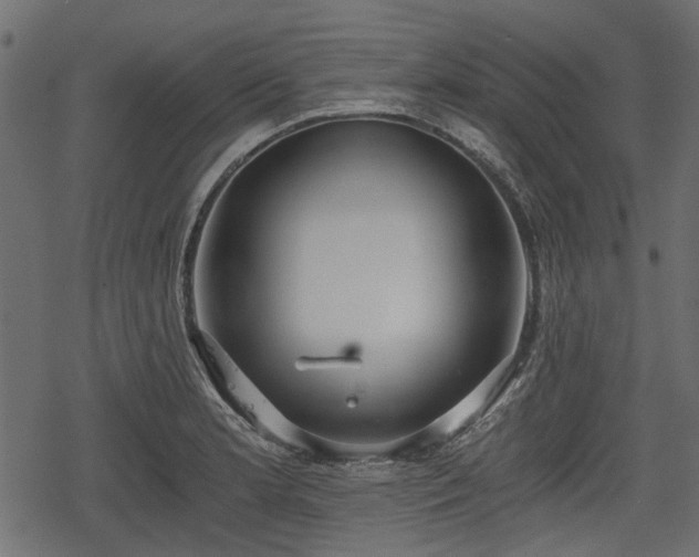 X0000068811181200605121242