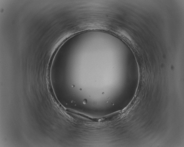 X0000068811182200605121242