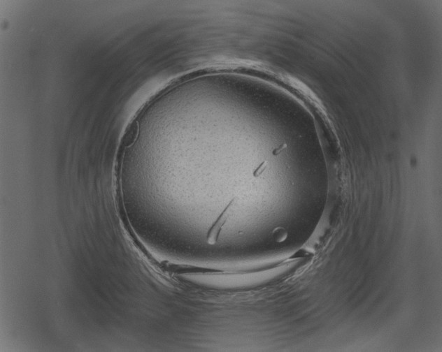 X0000068811183200605121242