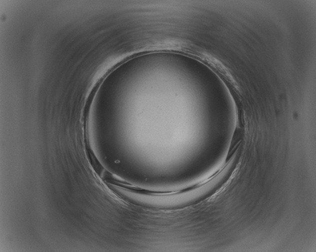 X0000068811184200605121242