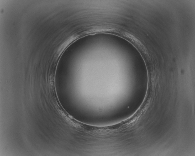 X0000068811185200605121242