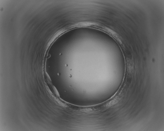 X0000068811186200605121242