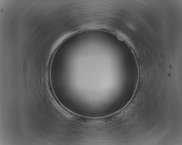 X0000068811187200605121242