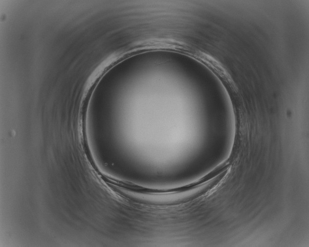 X0000068811188200605121242