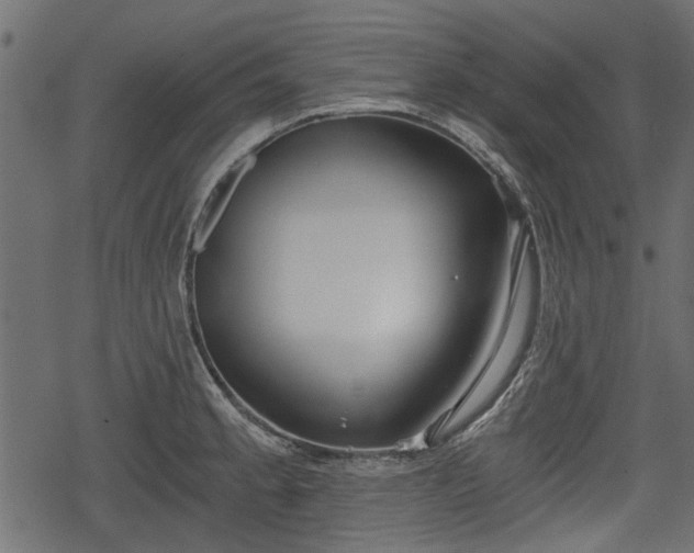 X0000068811189200605121242