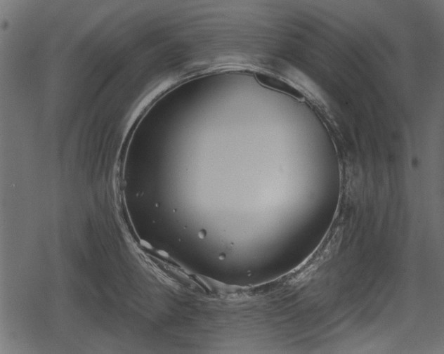 X0000068811190200605121242