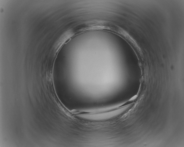 X0000068811193200605121242