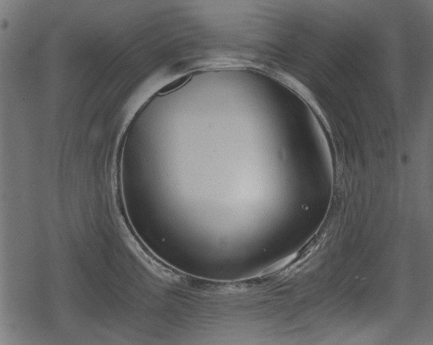 X0000068811195200605121242