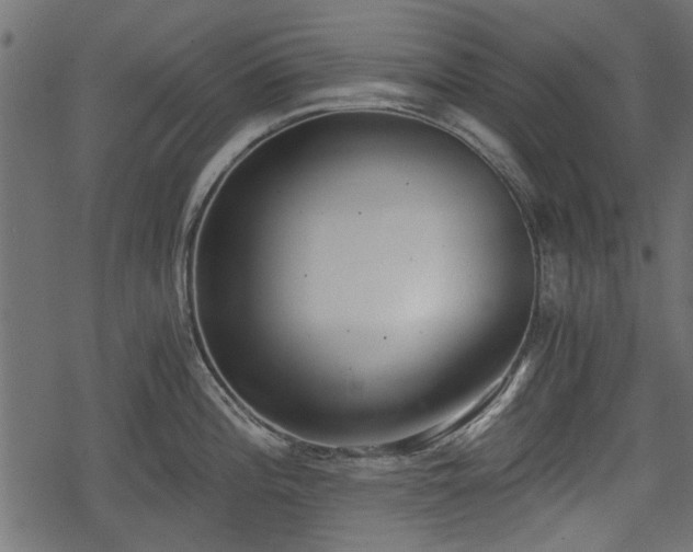 X0000068811196200605121242