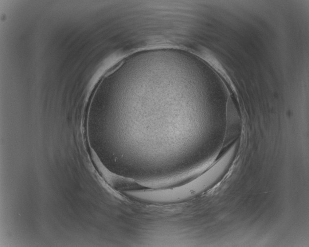 X0000068811197200605121242