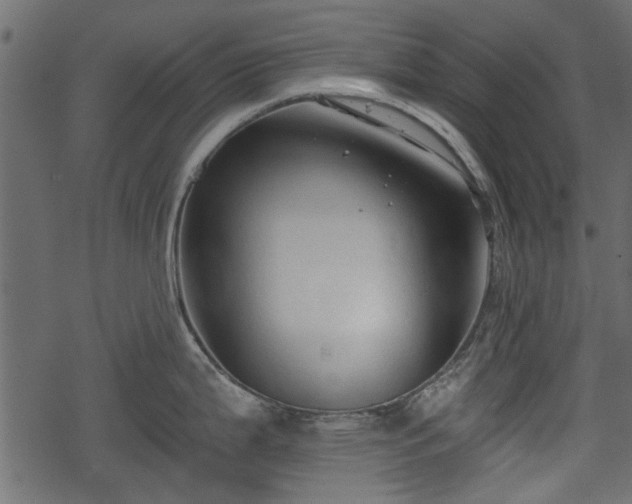 X0000068811199200605121242