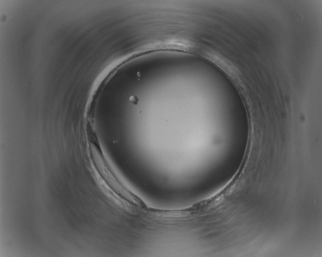 X0000068811200200605121242