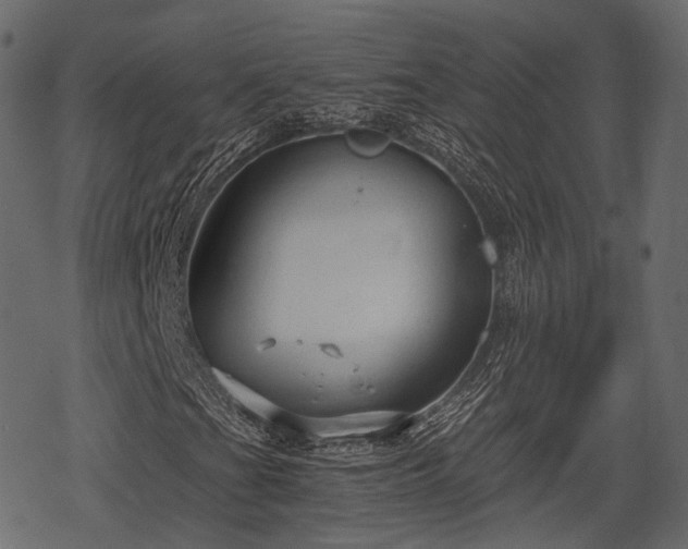 X0000068811201200605121241