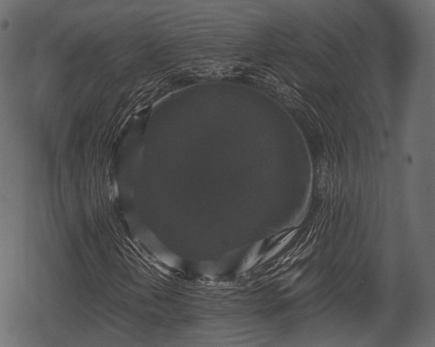 X0000068811202200605121241