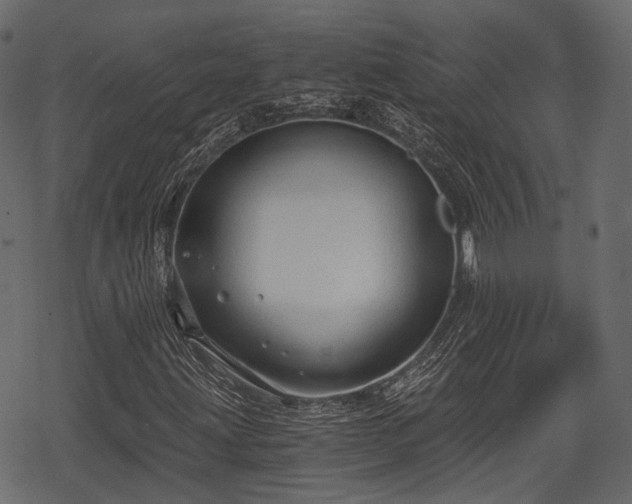 X0000068811203200605121241