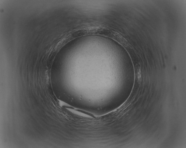 X0000068811204200605121241