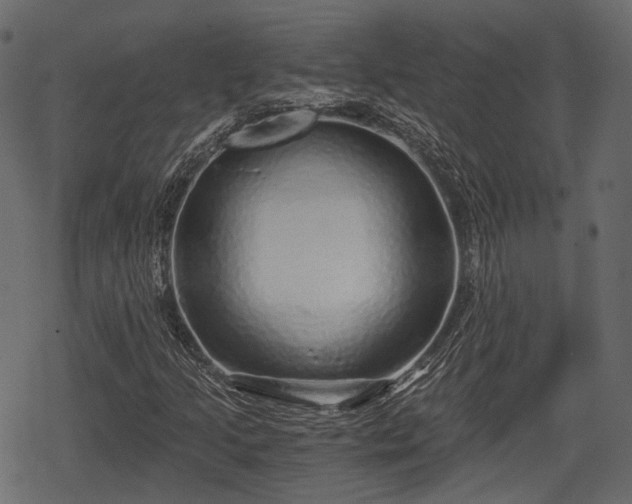 X0000068811205200605121241