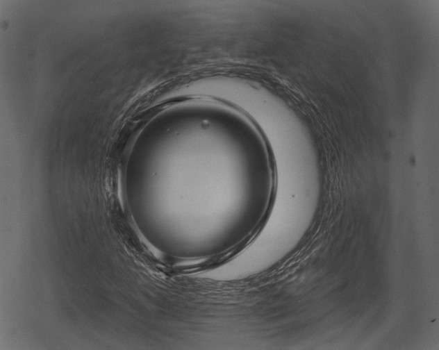 X0000068811206200605121241