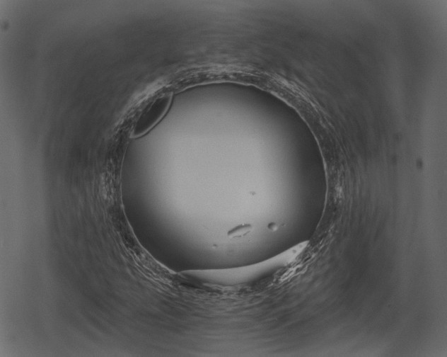 X0000068811207200605121242