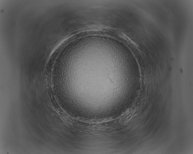 X0000068811208200605121242