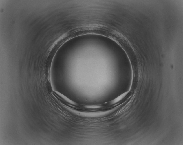 X0000068811210200605121242