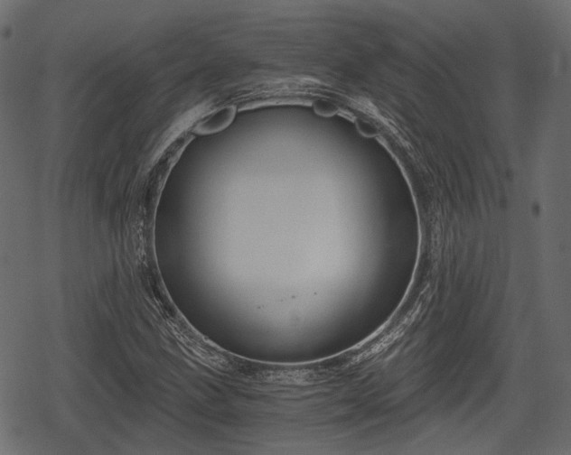 X0000068811211200605121242