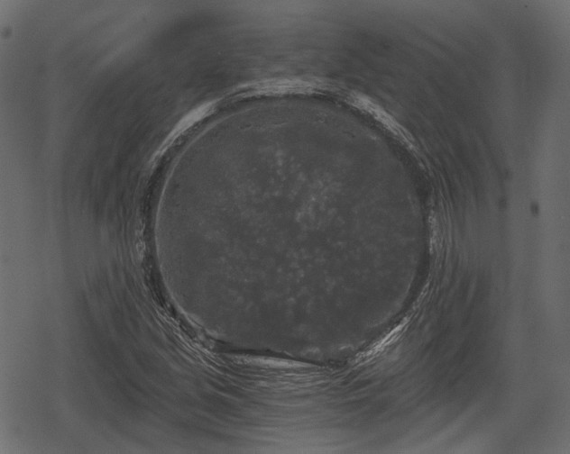 X0000068811213200605121242