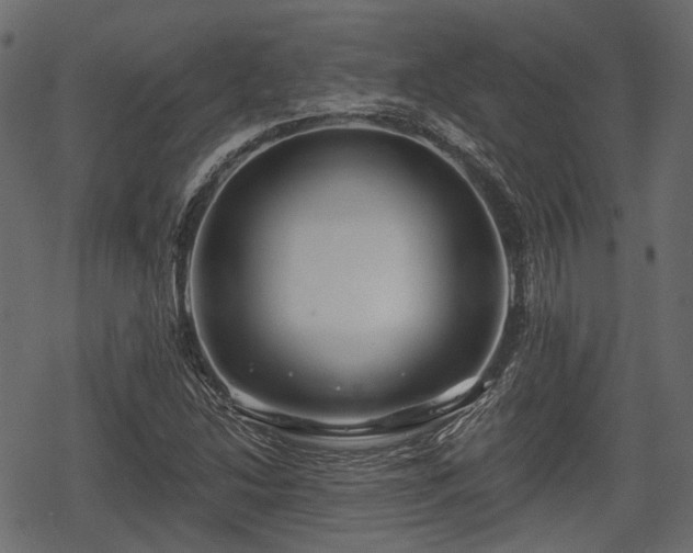 X0000068811214200605121242