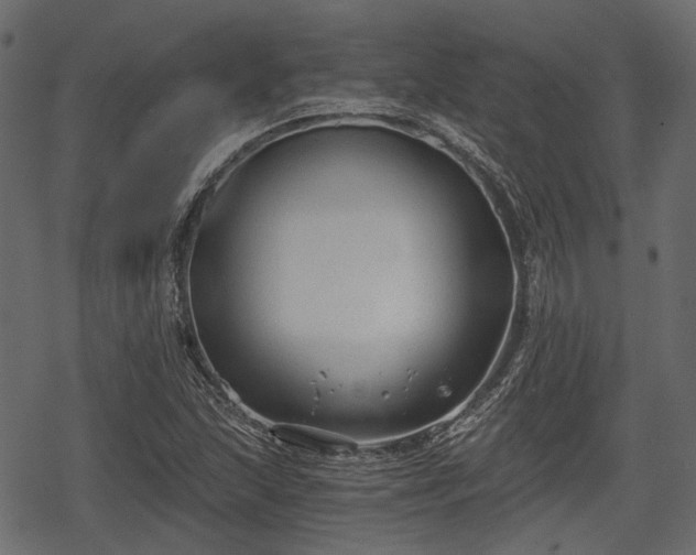 X0000068811215200605121242