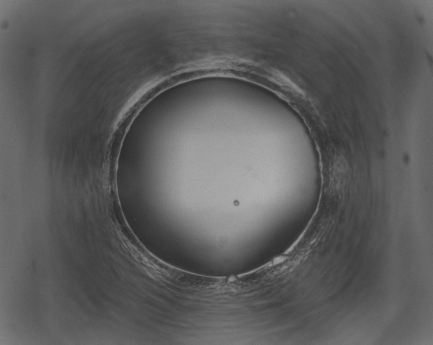 X0000068811216200605121242