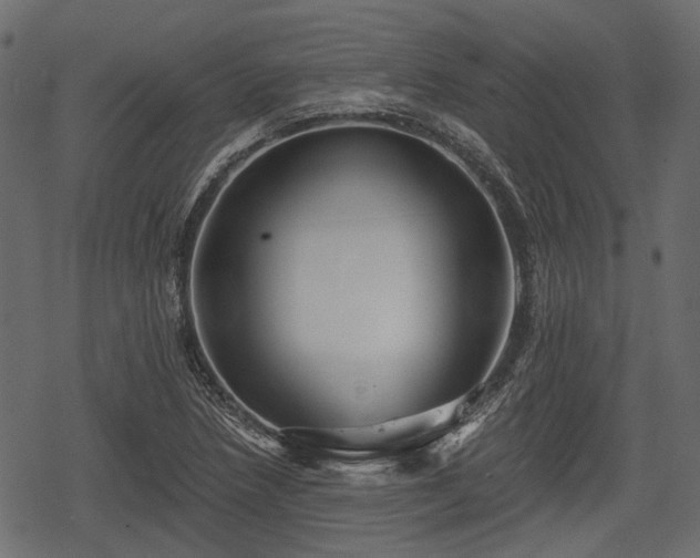 X0000068811218200605121242