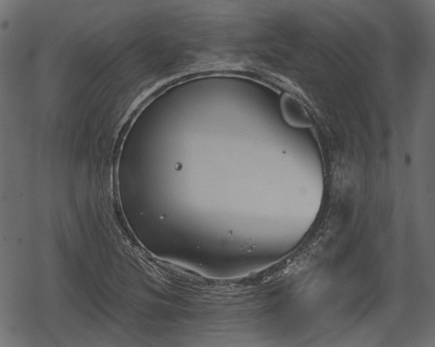 X0000068811220200605121242