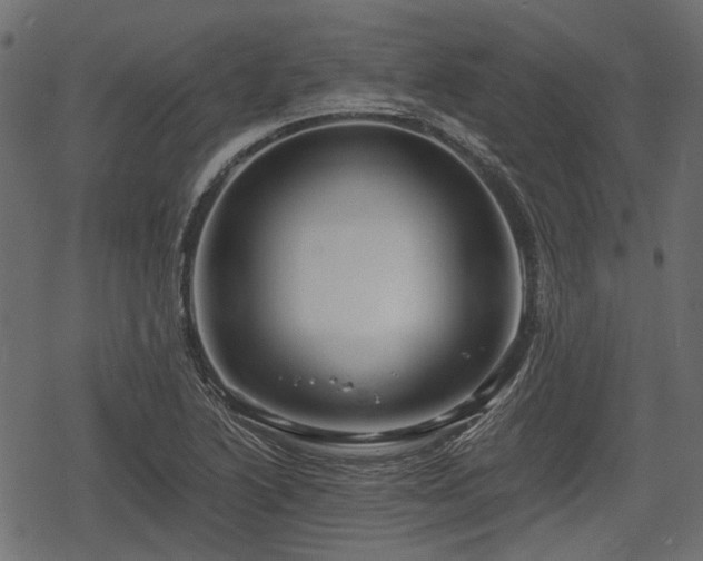 X0000068811222200605121242