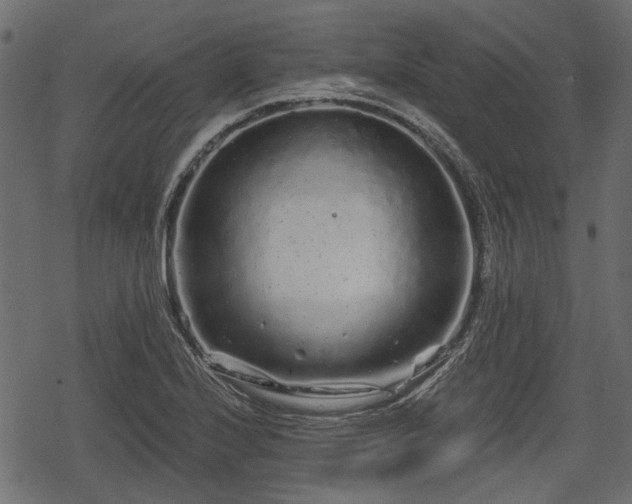 X0000068811224200605121242