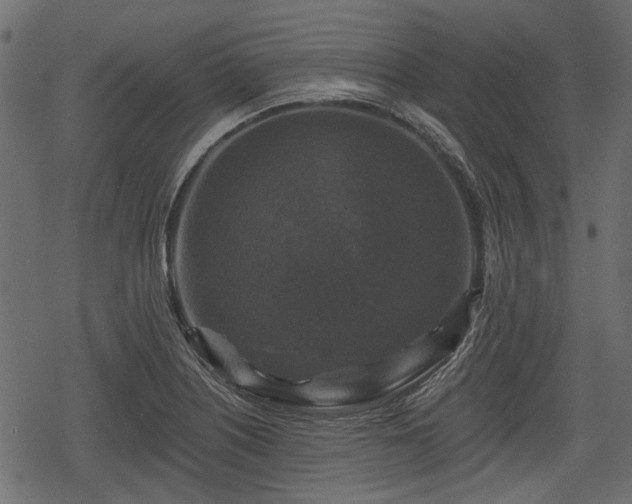 X0000068811226200605121242