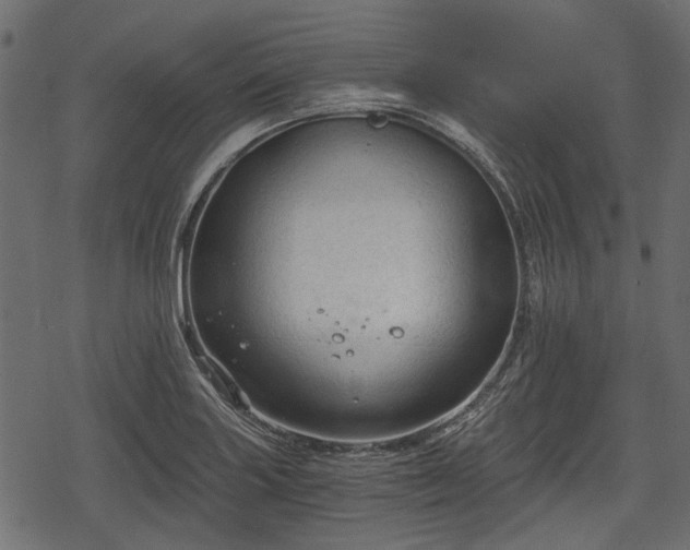 X0000068811227200605121242