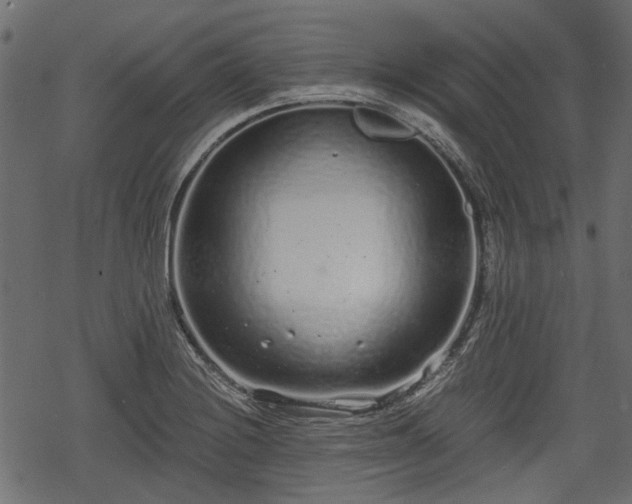 X0000068811228200605121242