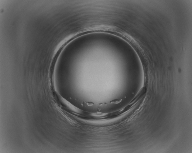 X0000068811230200605121242