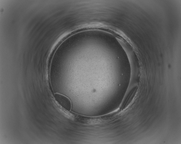 X0000068811232200605121242