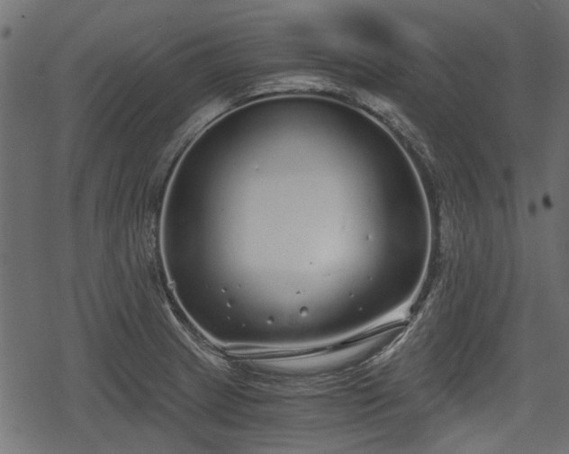 X0000068811233200605121242