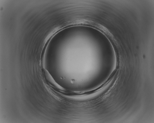 X0000068811234200605121242