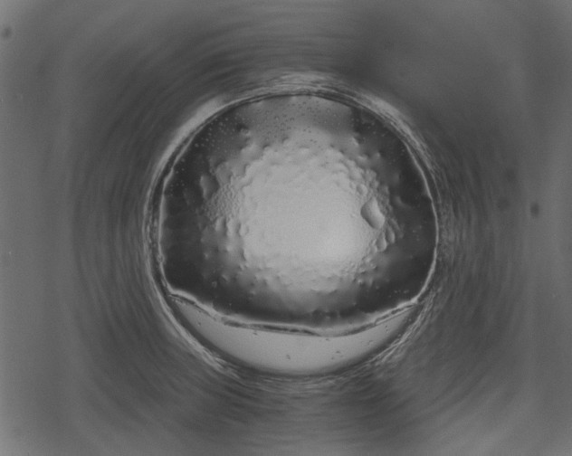 X0000068811235200605121242